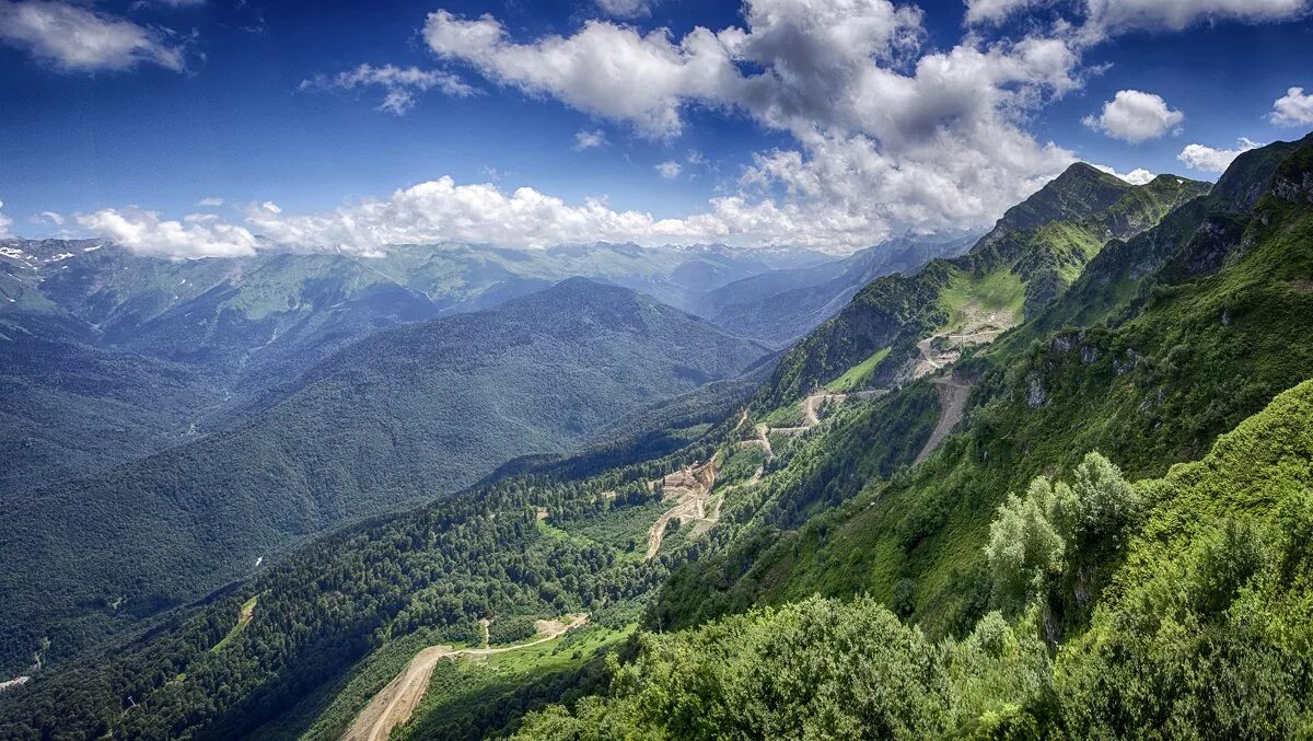 Горы красная поляна пик сочи. Кавказский заповедник гора ачишхо. Горы сочи горы красная поляна. Солохаул сочи. Лесистые горы сочи.