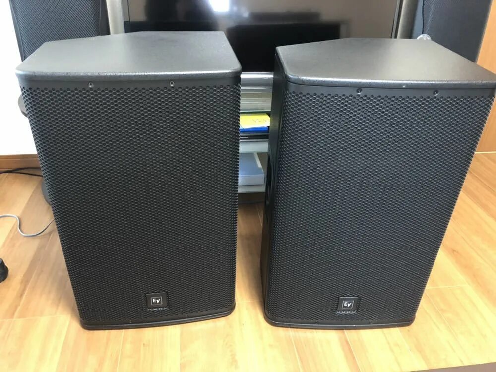 Echo acoustic ex115p