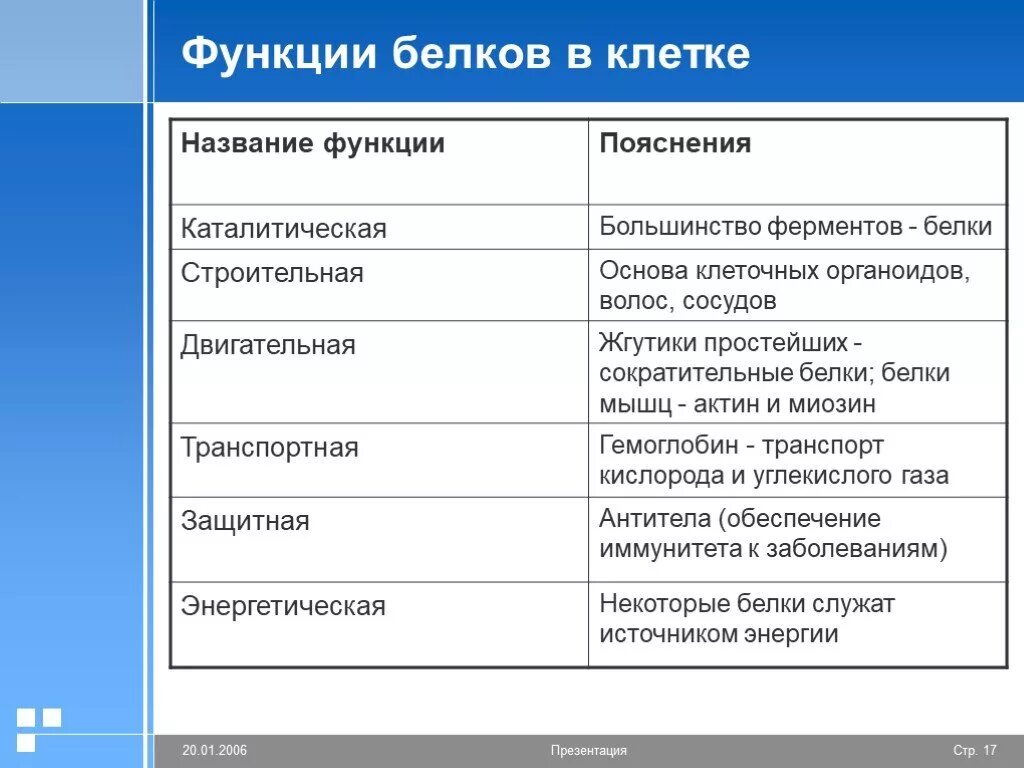 Роль белков в живых организмах