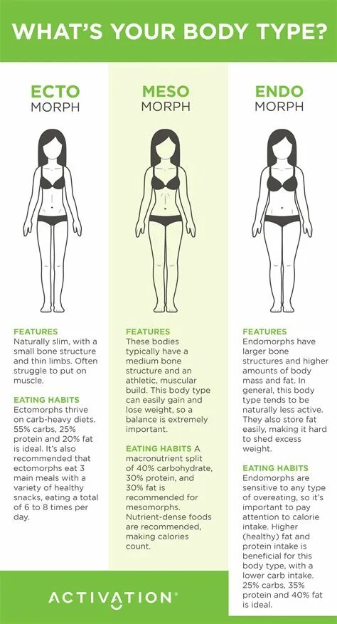 Body types names. Body types. эктоморф женщина. тест на тип фигуры. мезоморф женщина.