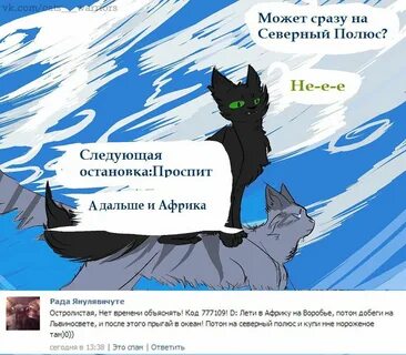 Коты целитель тест