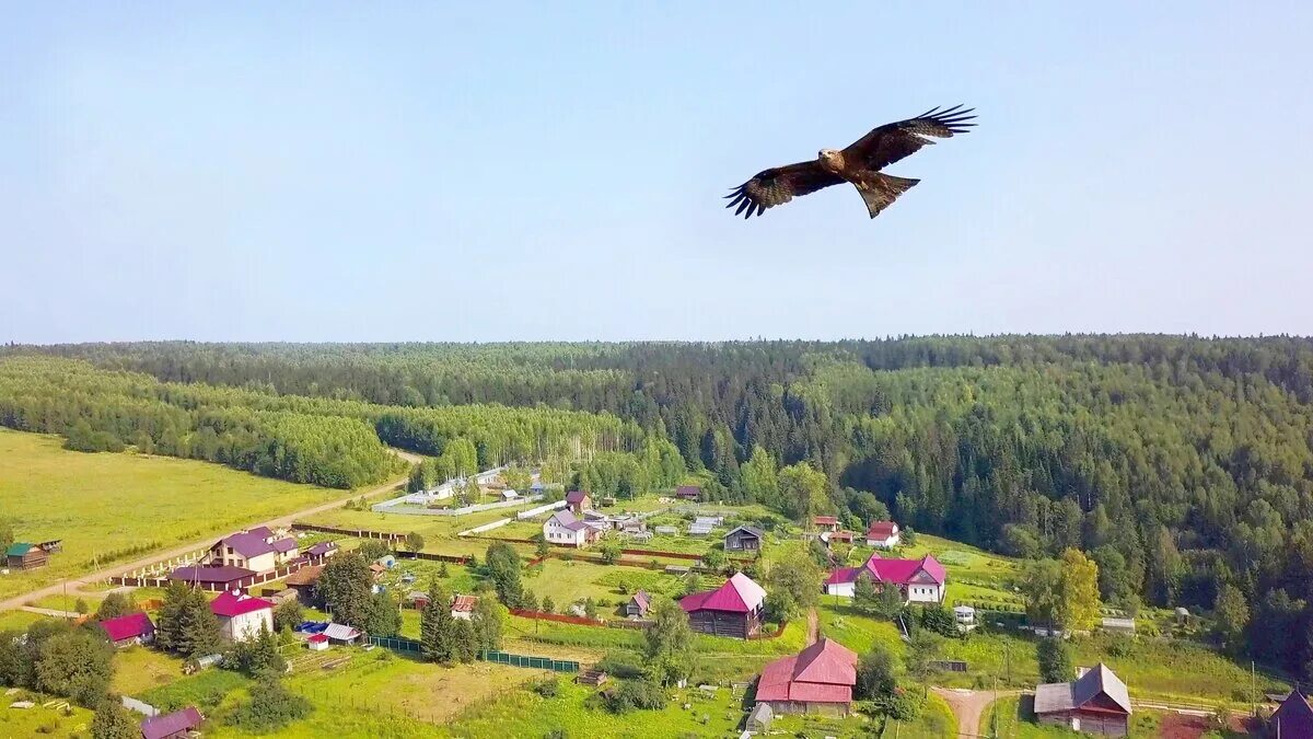 Прогноз погоды ильинский пермский край. Ильинский район Пермский край. Деревня Петрушата Ильинский район. Ильинск Пермский край. Село Ильинское Пермский край.