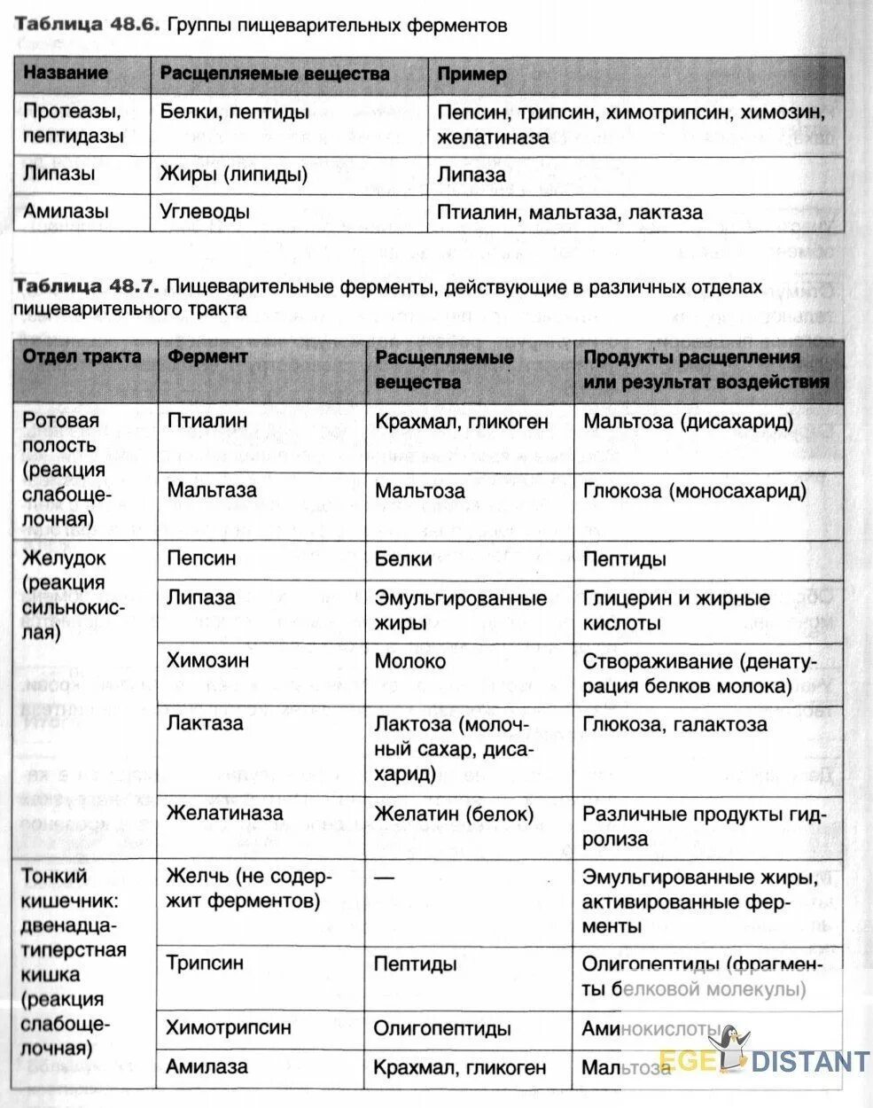 Таблица пищеварения человека. Таблица по биологии строение и функции пищеварительной системы. Ферменты пищеварительной системы человека таблица. Пищеварительная система ЕГЭ биология таблица. Ферменты пищеварительной системы таблица ЕГЭ.