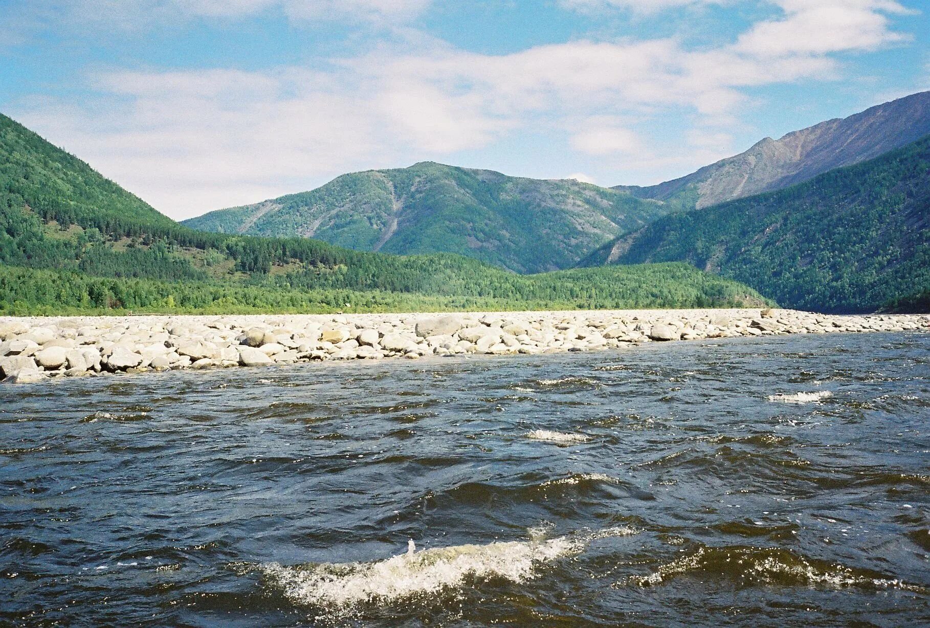 Река в монголии и забайкалье. Река Аргунь Забайкальского края. Река Амур с Аргунью. Река Аргунь. Аргунь Приаргунск.