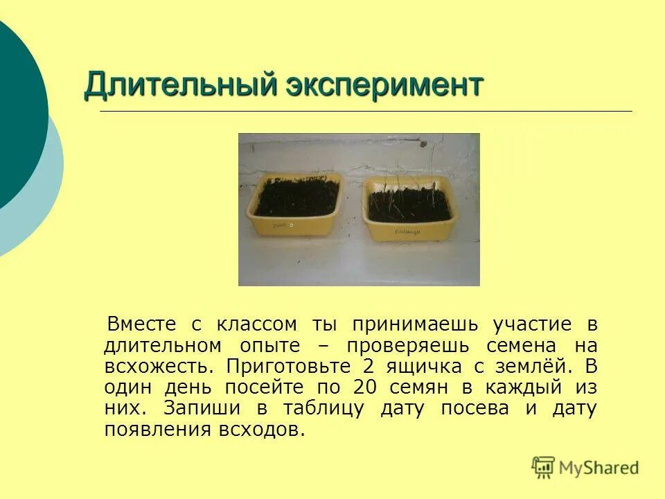 длинный опыт