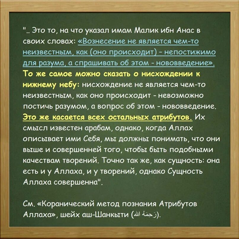 Великие цитаты имама шамиля. Имам синоним. Имам аш-шафии. Имам ахмад ханбаль. Мудрые слова имама шафии.