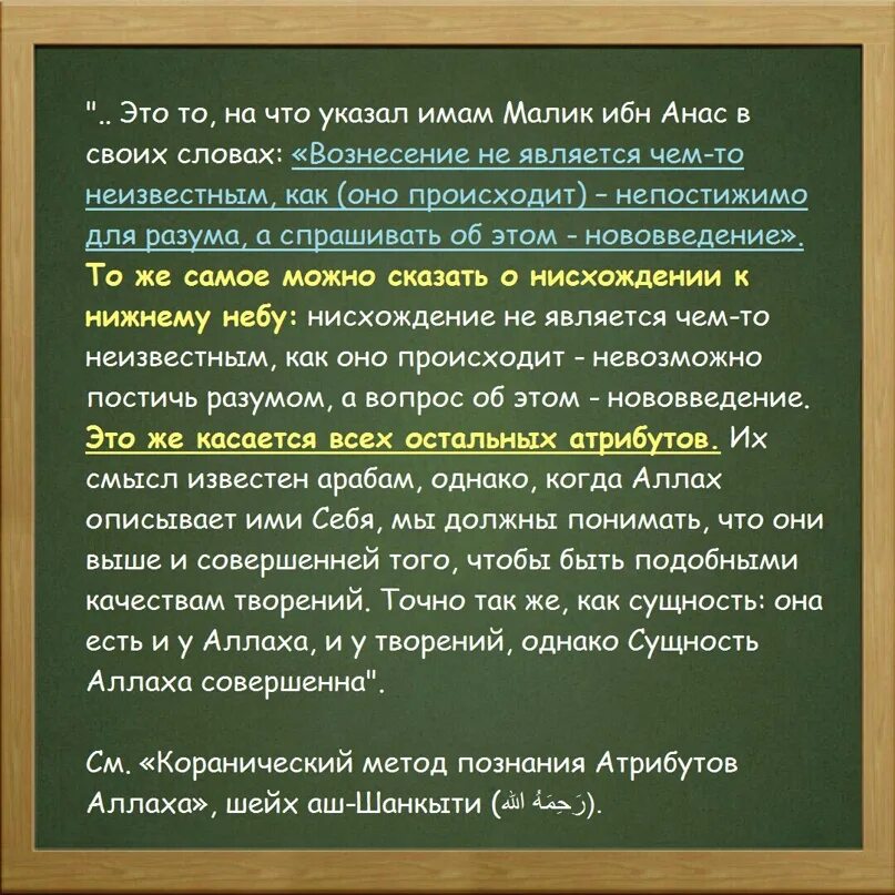 Имама что означает. Высказывания имама Шафии. Имам Малик про суфизм. Имам аш-Шафии цитаты. Цитаты имама Малика.