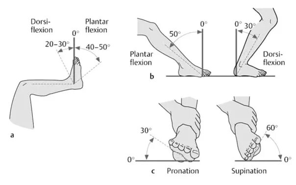 Угол голеностопного сустава. Пронация стопы гиперпронация. Пронация супинация в голеностопе. Пронация и супинация коленного сустава. Движения стопы пронация супинация.