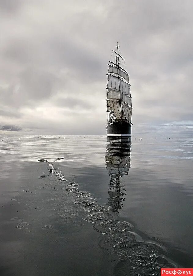 Песня штиль наш корабль. Парусник в море. Штиль на море. Штиль корабль. Корабль со спущенными парусами.