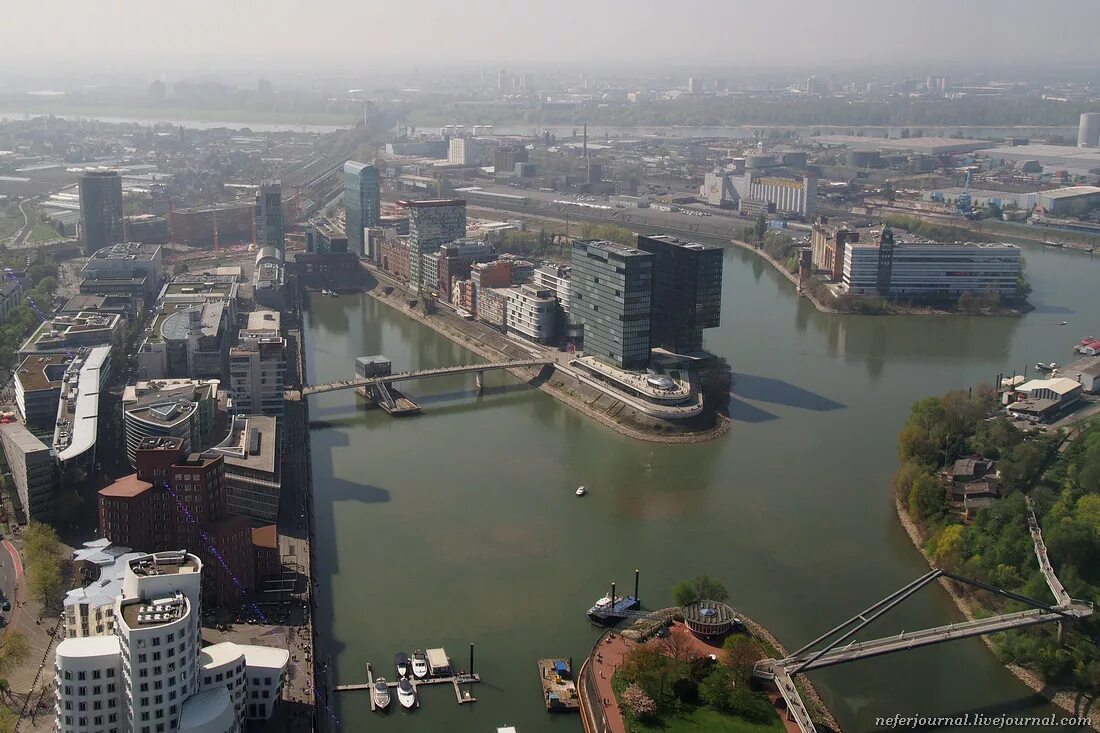 дюссельдорф германия. дюссельдорф германия фишсафари. дюссельдорф достопримечательности. дюссельдорф улицы окраины. альтштадт дюссельдорф вид.