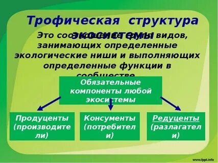 Трофические уровни биоценоза