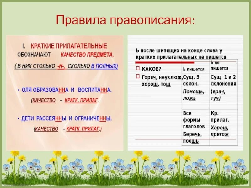 Пестрою имя прилагательное. Формы имен прилагательных. Имя прилагательное формы. Краткая форма имен прилагательных. Краткая форма прилагательного.