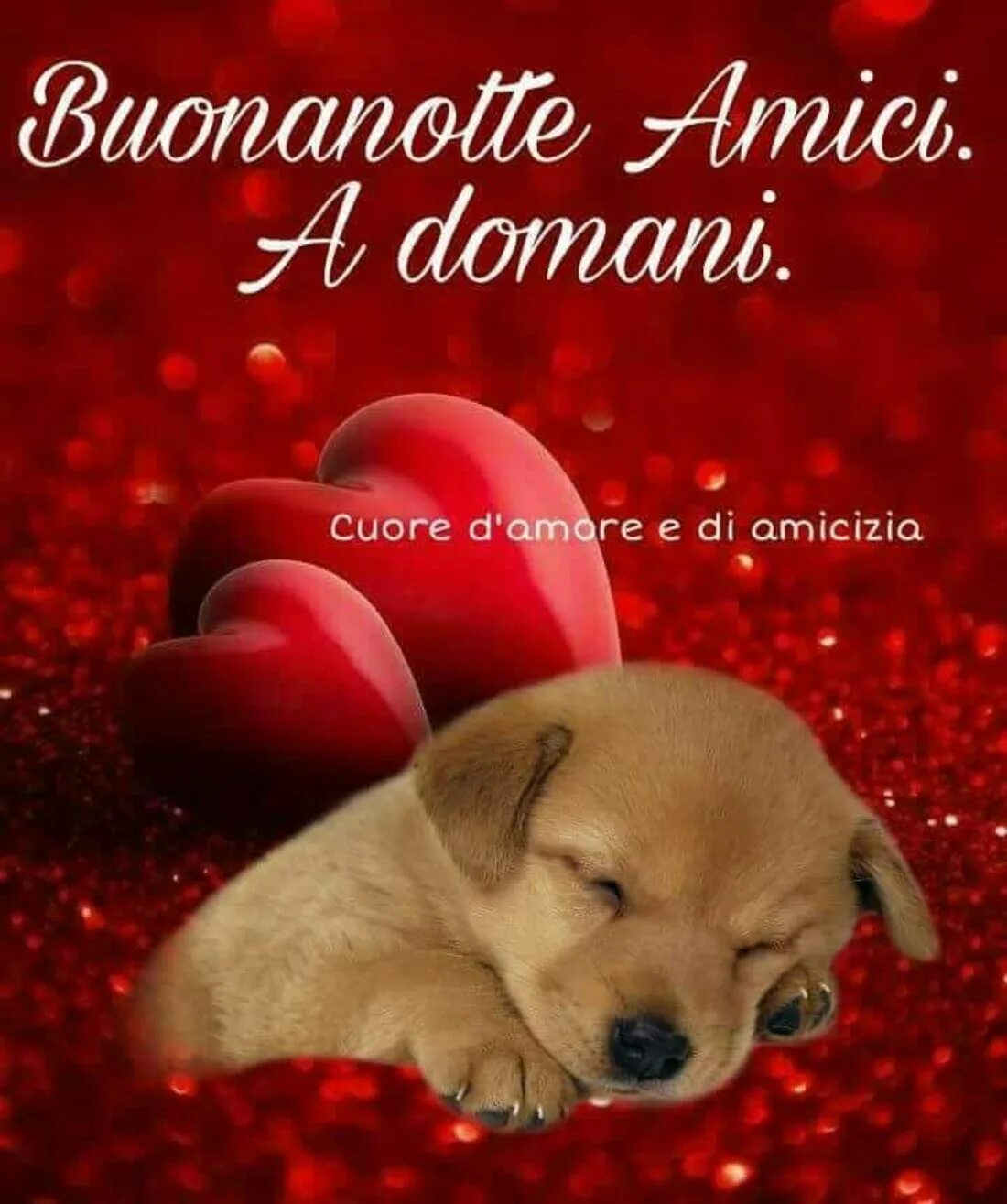 Te amore. Buona notte Amore открытки. Buona notte Amore mio картинки. Buonanotte для друга. Dolce notte Amore mio картинки.