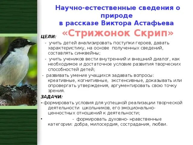 Отзыв о скрипе 4 класс. Стрижонок скрип. Синквейн Стрижонок скрип. Характеристика скрипа. Характеристика стрижонка скрипа.