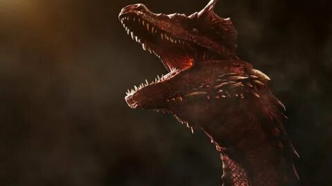 Dragons having