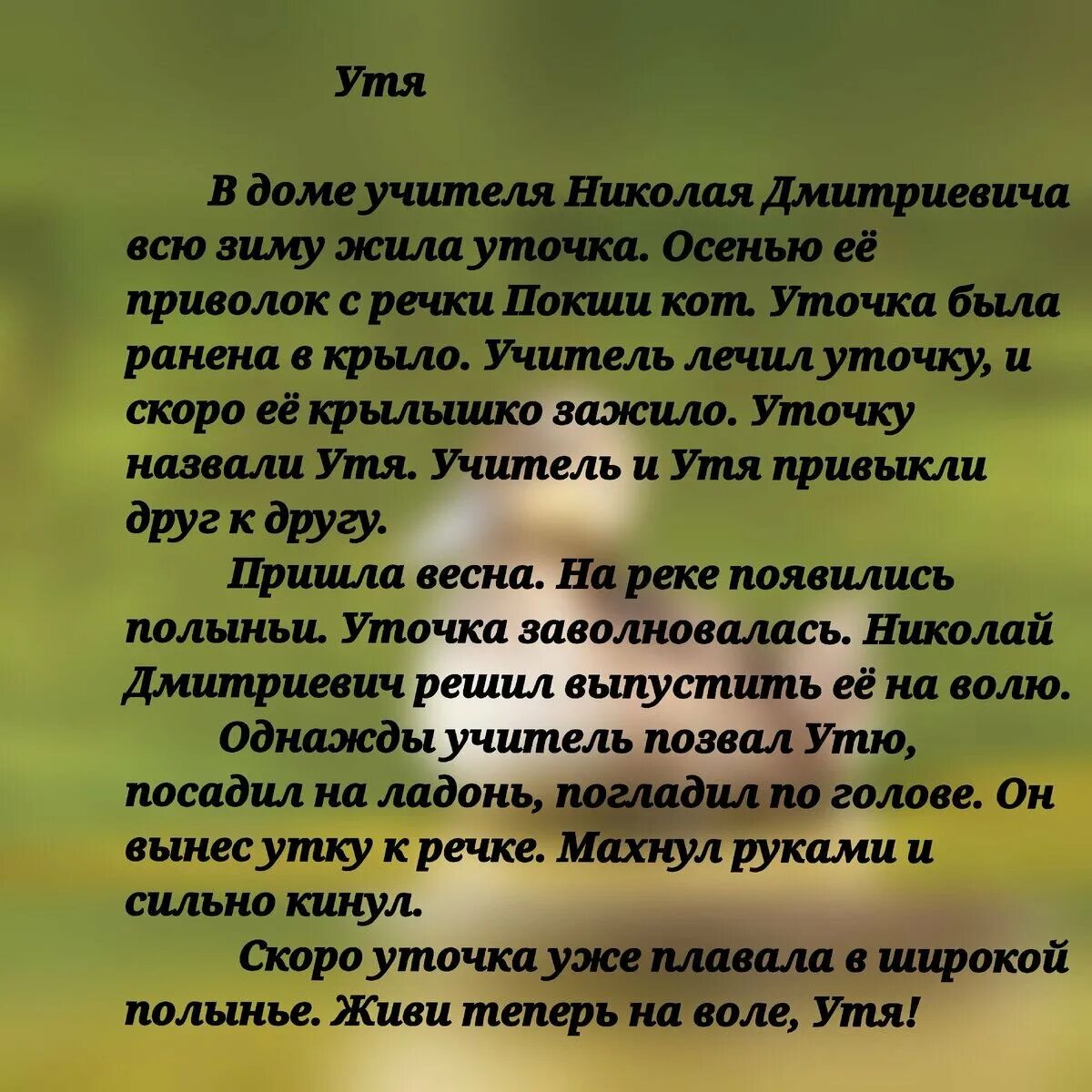 Изложение Утя. В доме учителя Николая Дмитриевича. Изложение учитель и Утя 4 класс. Изложение в доме учителя Николая Дмитриевича 4 класс. Изложение 4 класс в доме учителя