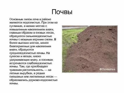 Почвы европейского
