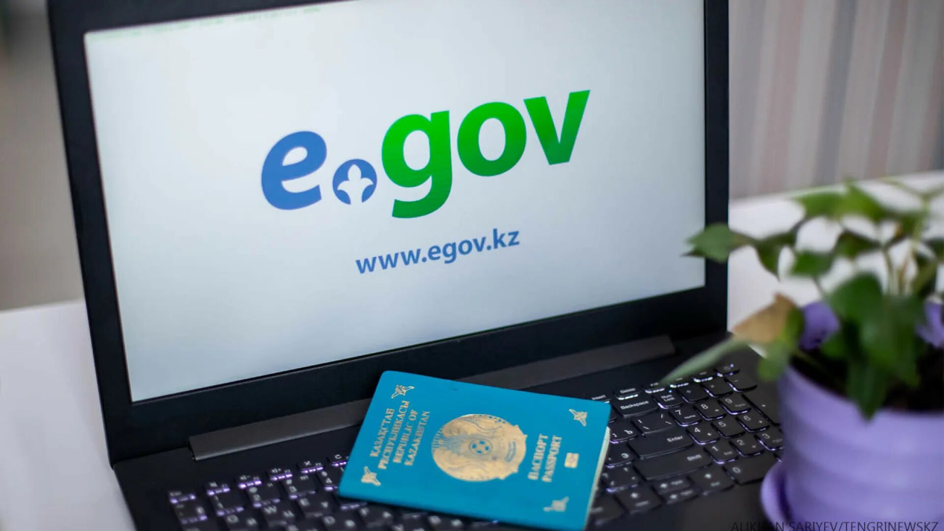 Картинки egov. Егов кз. Егов. Портал egov. Егов.