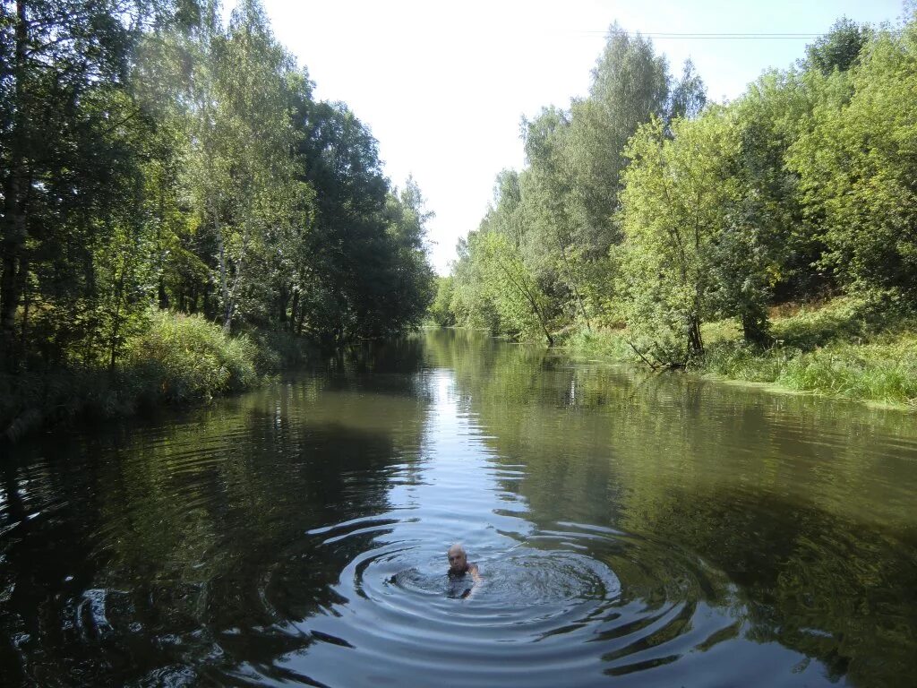 Река сестра московская. Река сестра Клин. Река сестра Дубна. Клин Московская область река сестра. Река сестра Клинский район.