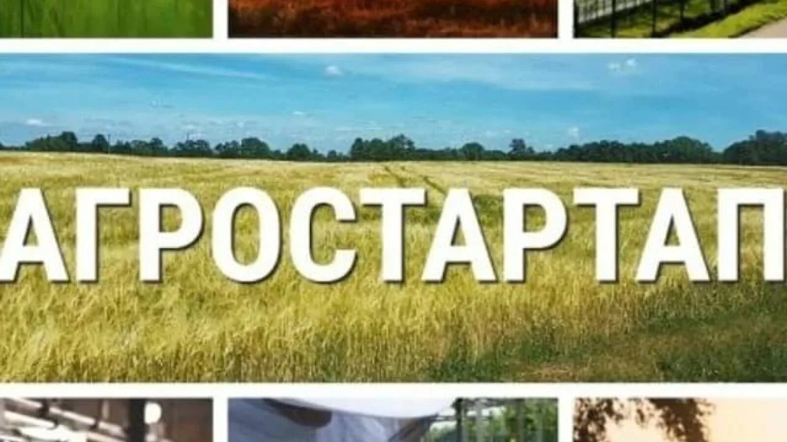 Агростартап 2023. Грантовая поддержка фермеров. Агростартап 2022. Агростартап. Проекты агростартап.
