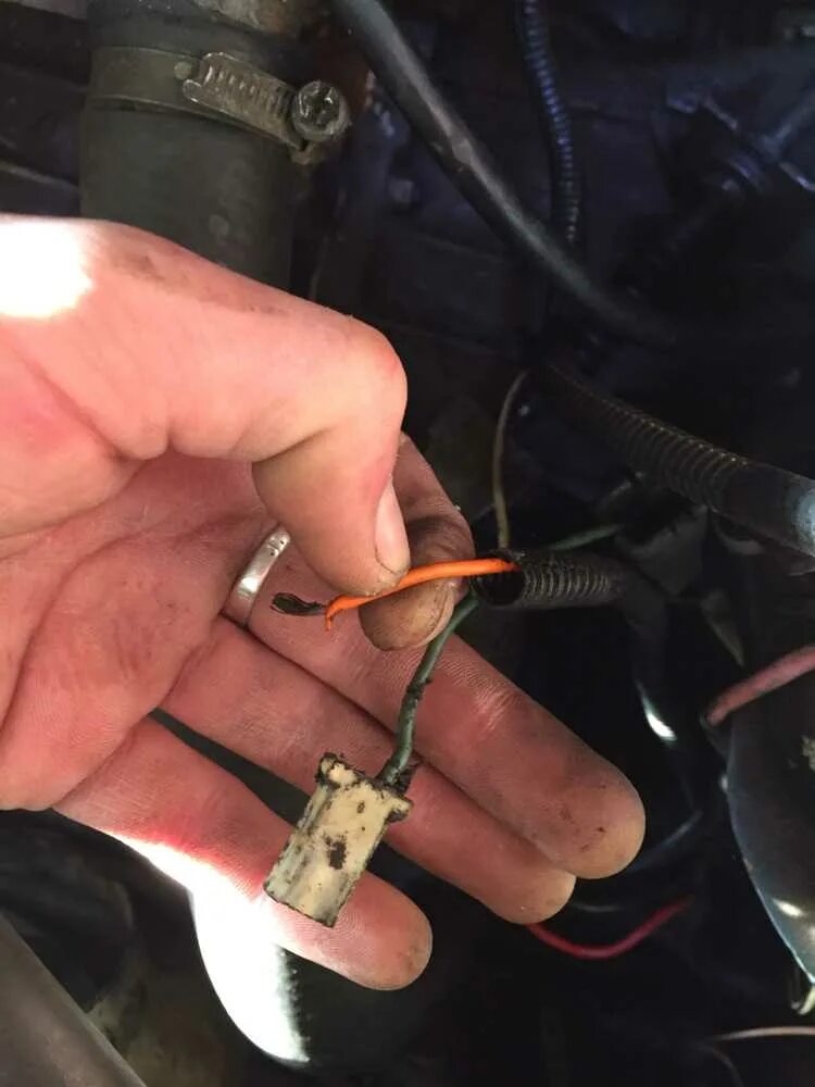 Фишка заднего хода ваз 2110. Задний ход ваз 2110. Провод заднего хода ваз 2109. Ваз 2110 провод заднего хода. Датчик заднего хода ваз 2110.