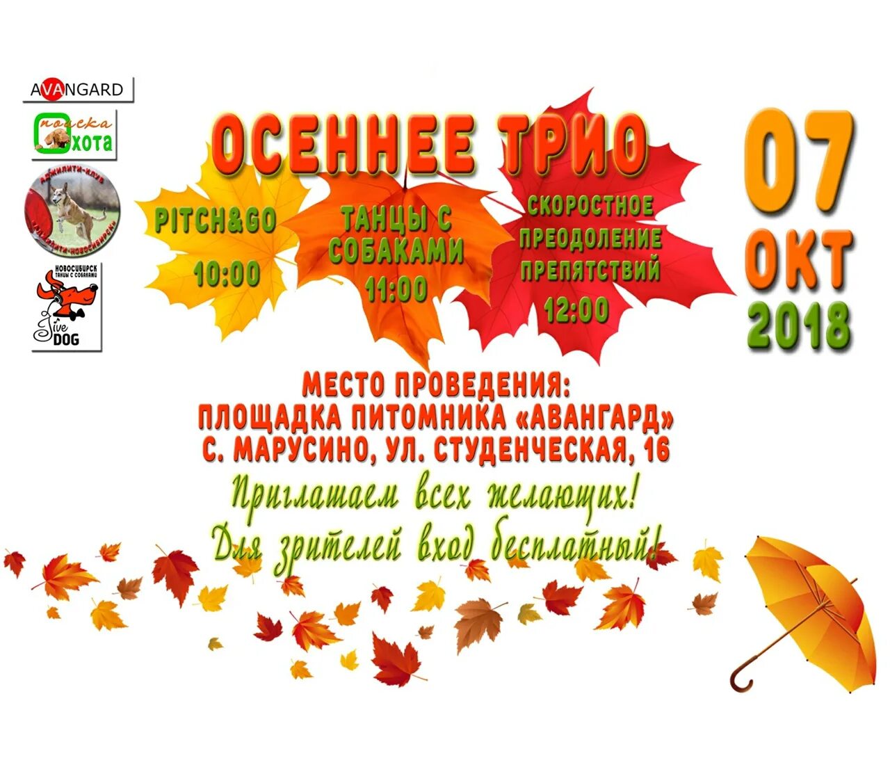 Кухонный гарнитур трио. Трио осень. Трио осень. Кухня осень трио. Цыганское трио.