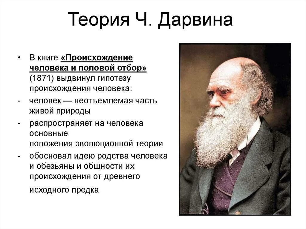 Проблемы современников