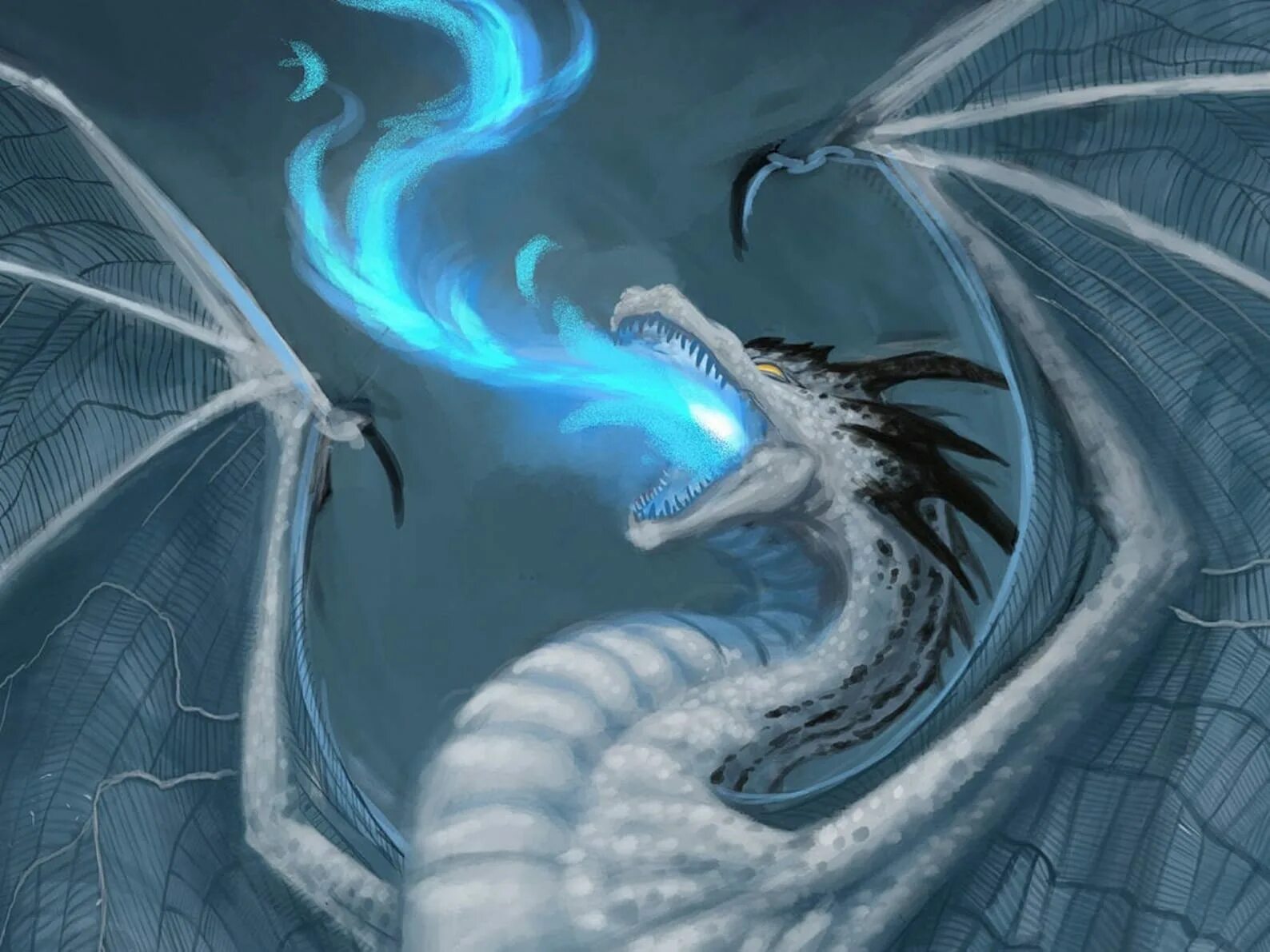 Невеста ледяного дракона полностью. Айс драгон. Ледяной дракон. Белый дракон. Зимний дракон.