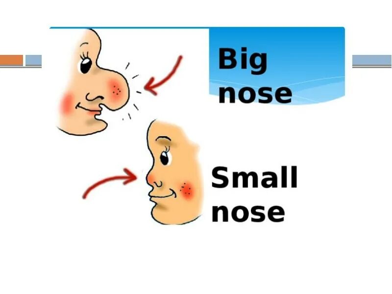 Карточки на англ языке нос. Нос на английском. Big nose рисунок. Маленький нос на английском. Small по английски