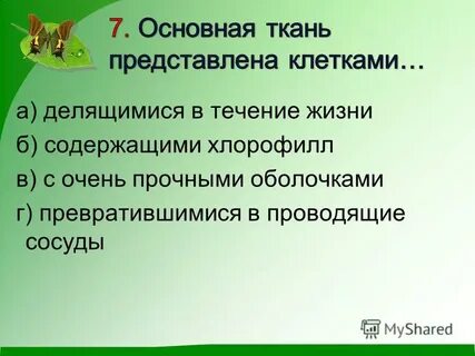 Не делятся в течение жизни