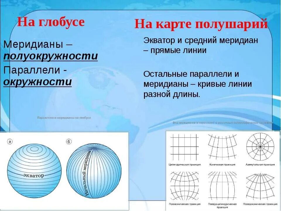 Градусная сетка полушарий. Фора на глобусе меридеаны. Форма на глобусе меридианы. Форма на глобусе меридианы и параллели. Форма меридиана на карте полушарий.