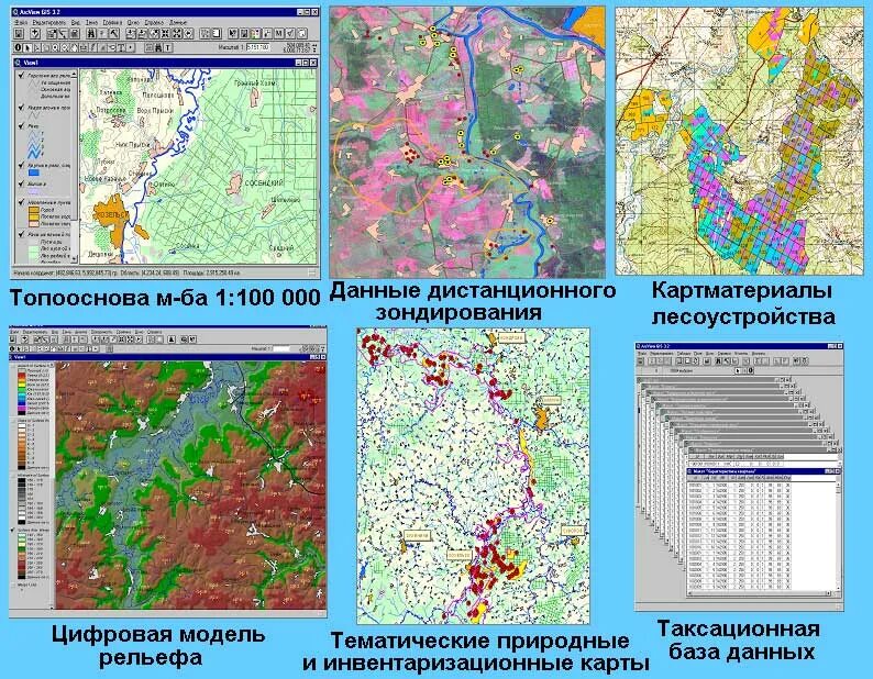 Гис эс. ГИС численность. ГИС парк. Узгей ГИС. Истоки ГИС.