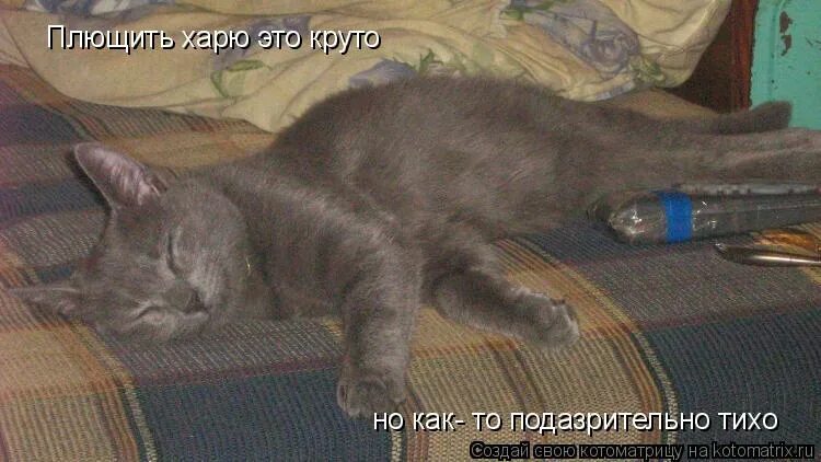 Тащи так то. Тащи так то