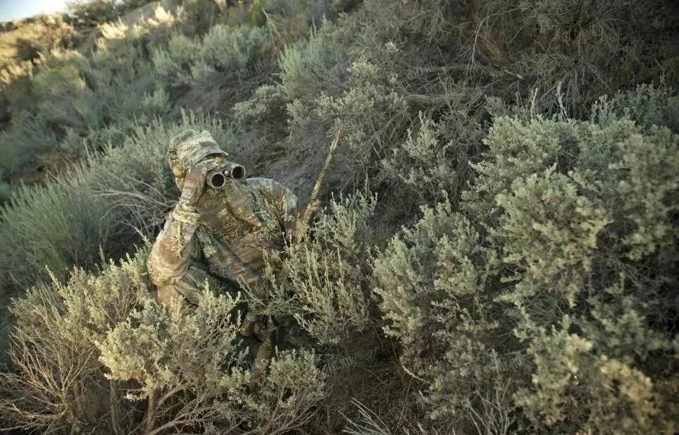 Боги маскировки. Боги маскировки. Снайпер в засаде. Охота на медведя опасные моменты. Плоскохвостый геккон хенкеля.