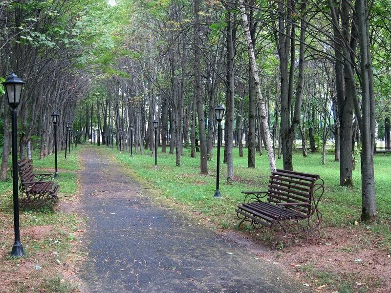 Парк в клину. Клин парк чайковского. музей-заповедник чайковского в клину.