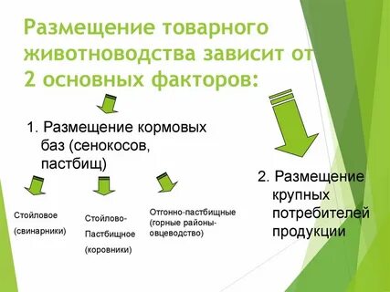 Факторы производства животноводства
