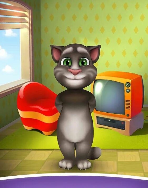 My talking tom 1. Talking Tom. My talking Tom Минимульты. Котик том. Мой кот том.