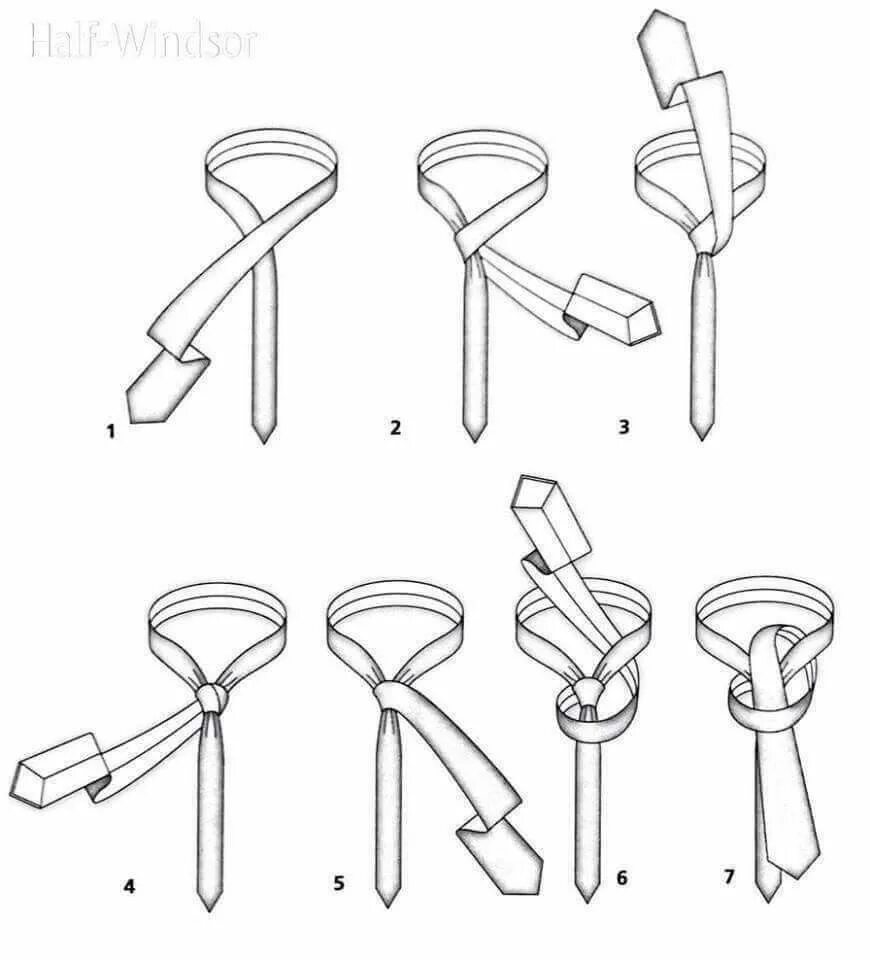 Завязывание галстука в картинках. Галстучный узел Виндзор. Узел двойной Виндзор для галстука. Виндзорский узел галстука схема. Узел Висмара галстук.