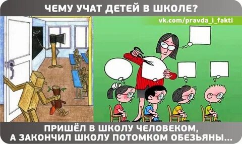 Найди правда