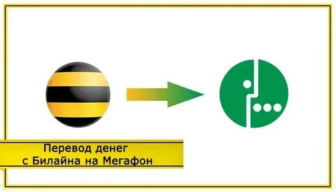 Как с билайна перевести деньги на мегафон