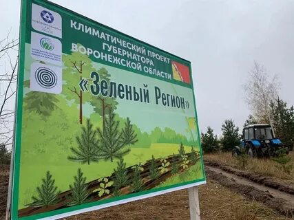 Воронежская область зеленый регион