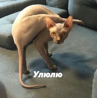 Улюлю