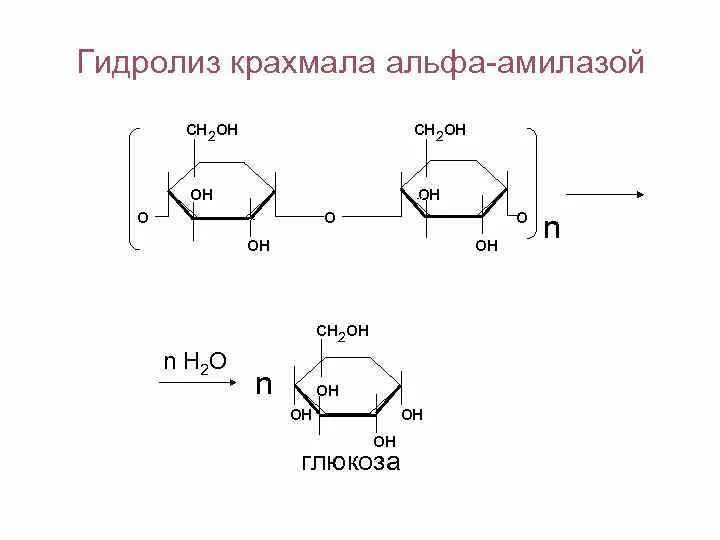 Запишите реакцию гидролиза крахмала. Гидролиз крахмала альфа амилазой. схема ступенчатого гидролиза крахмала. расщепление крахмала амилазой реакция. схема ферментативного гидролиза крахмала.