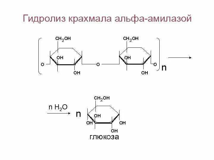 Растение гидролиз. Расщепление крахмала амилазой реакция. Схема гидролиза крахмала. Схема процесса гидролиза крахмала. Схема последовательного ферментативного гидролиза крахмала.