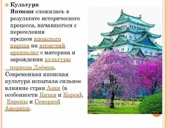 Пандемия в токио. Чаепитие в японии традиции. Минеко ивасаки. В японии сложилась. Covid 19 япония.