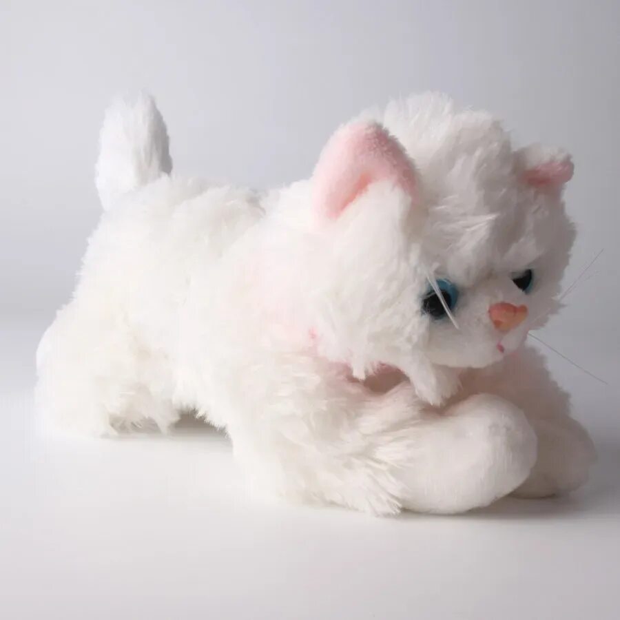 Белую кошку белую кошку игрушку. Флаффи Пуппи. Мягкая игрушка белый котенок. Мягкая игрушка кошка белая. Мягкая игрушка кошка белая пушистая.