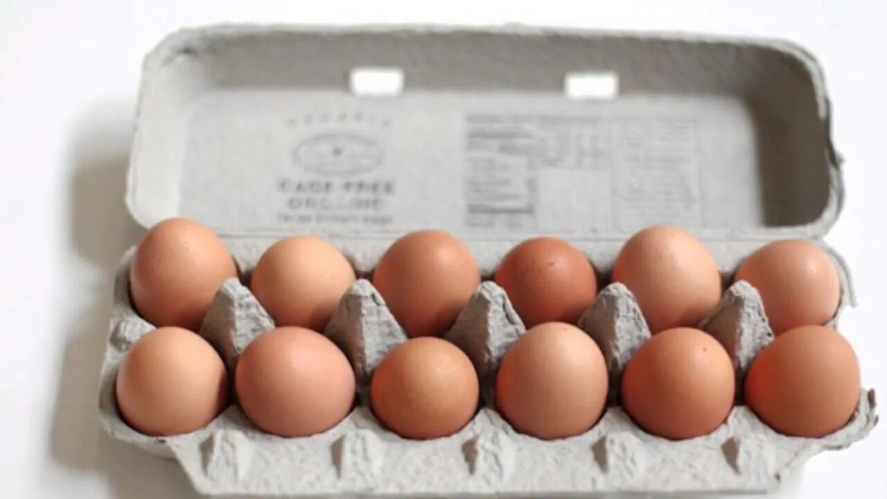 Десять яиц в день. Упаковка для яиц. Яйцо 12 упаковки. Яйца куриные в упаковке. Десяток яиц.