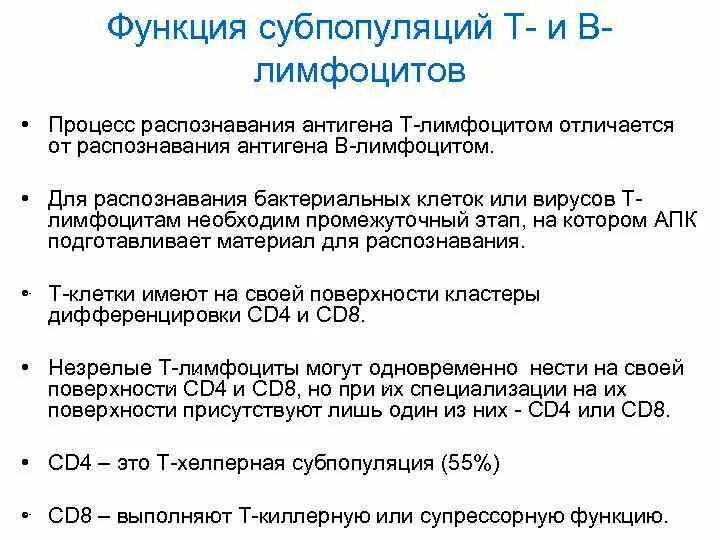 В-лимфоциты: субпопуляции и их функции.. Популяции и субпопуляции т-лимфоцитов. Субпопуляции лимфоцитов и их функциональные особенности. Понятие о субпопуляциях т-лимфоцитов. Субпопуляции в лимфоцитов