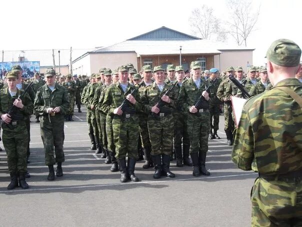 11 дшб улан-удэ. 11 бригада дшб улан-удэ сосновый бор. Сосновый бор 11 одшбр. 11 бригада вдв улан-удэ сосновый бор. Дшб улан-удэ сосновый бор.