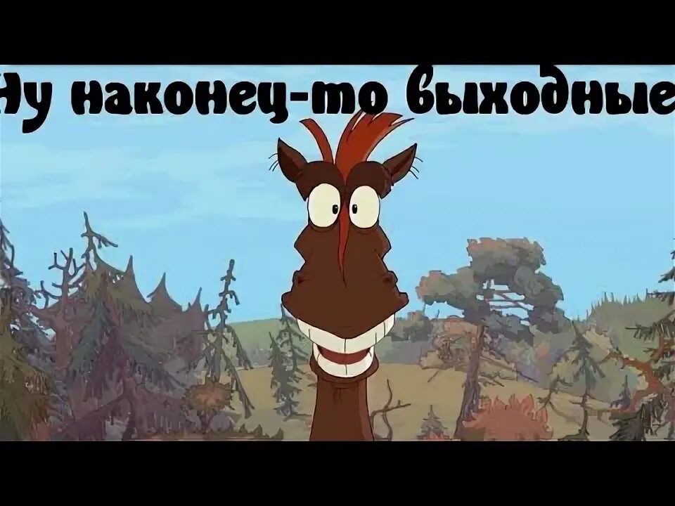 Дождалась выходных